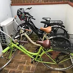 Mimosa - Aria Condizionata, Giardino, Biciclette E Posti Auto Coperti 坎普码港