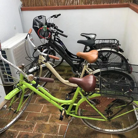 Mimosa - Aria Condizionata, Giardino, Biciclette E Posti Auto Coperti 坎普码港