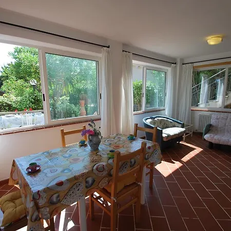 Mimosa - Aria Condizionata, Giardino, Biciclette E Posti Auto Coperti 坎普码港